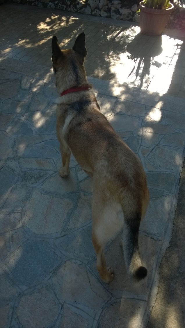 Il giorno migliore18