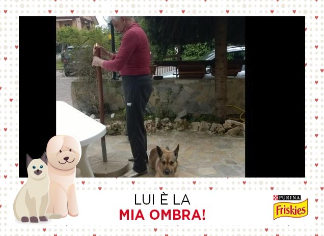 Siamo una gran coppia, di lavoratori.