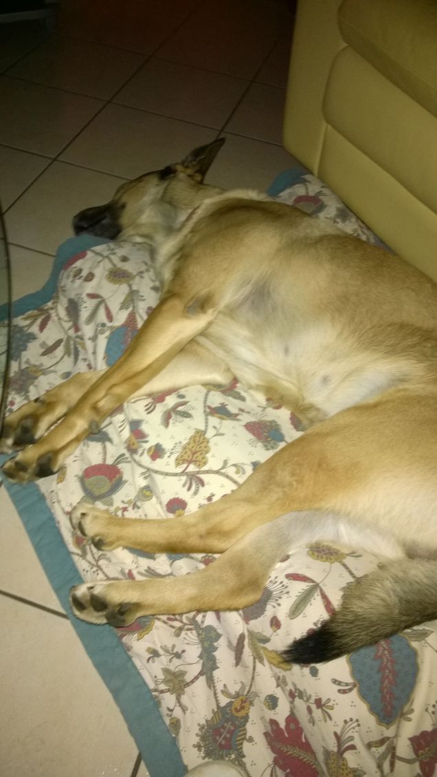 La vita è meravigliosa.17