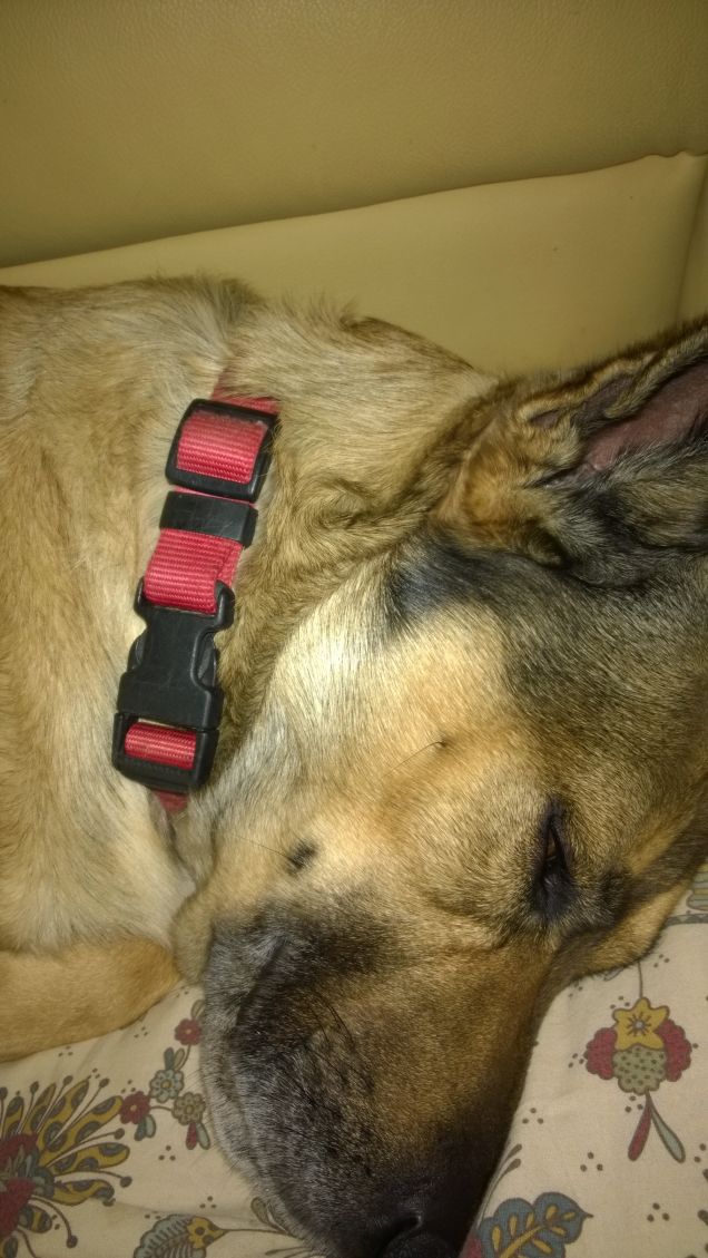 buonanotte in copertina18