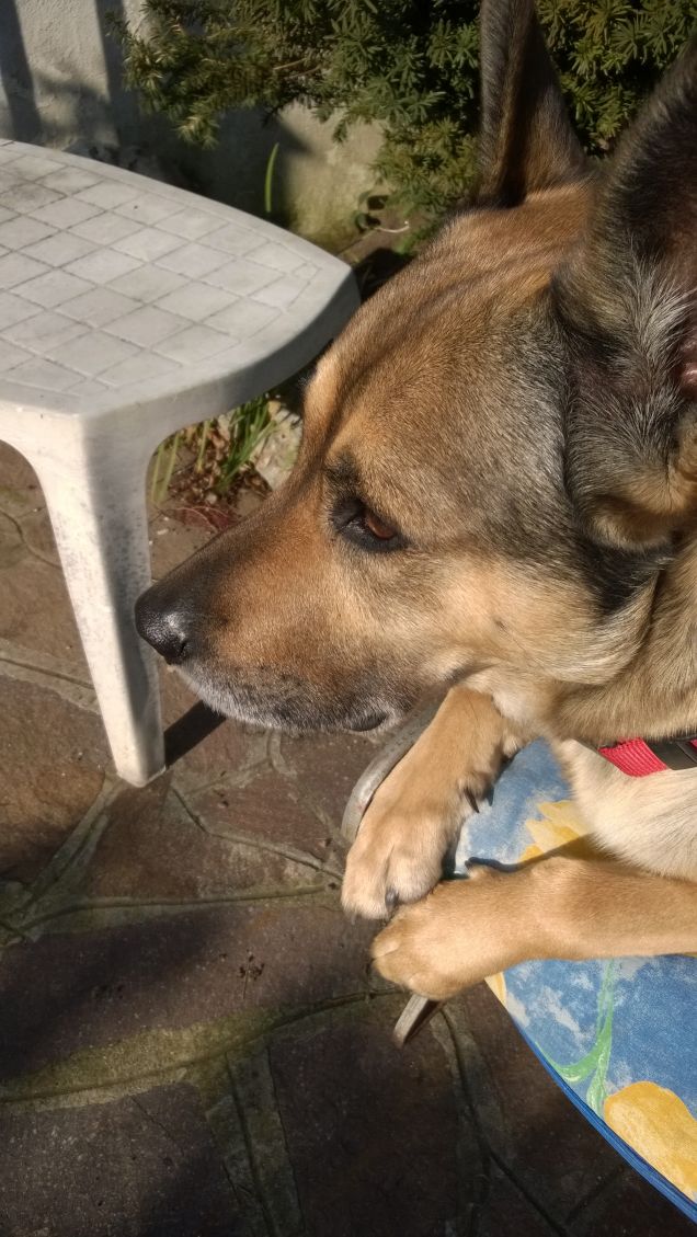 I giorni della Merla.