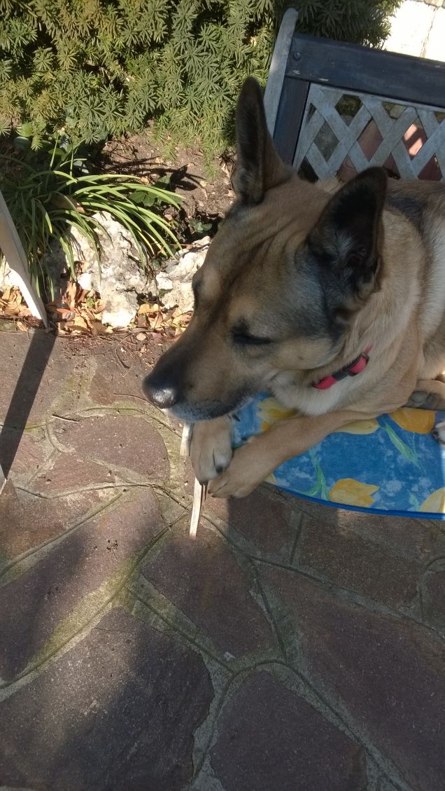 I giorni della Merla.1