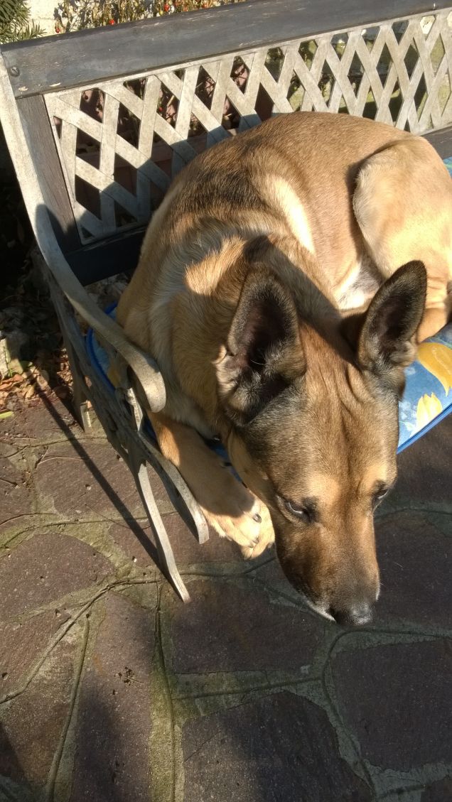 I giorni della Merla.2