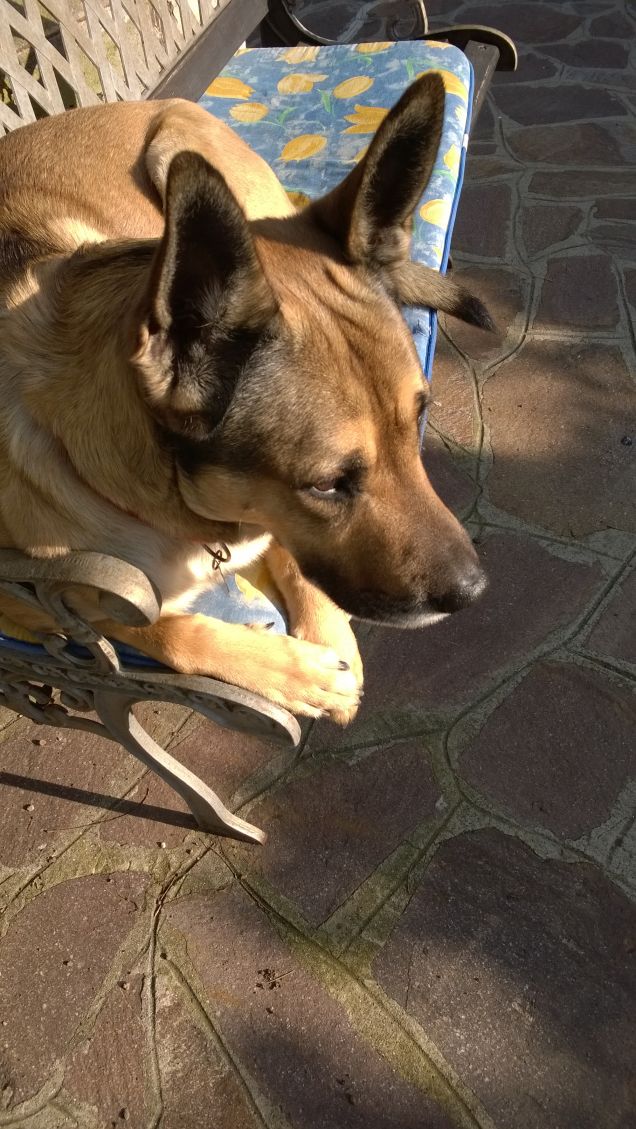 I giorni della Merla.3