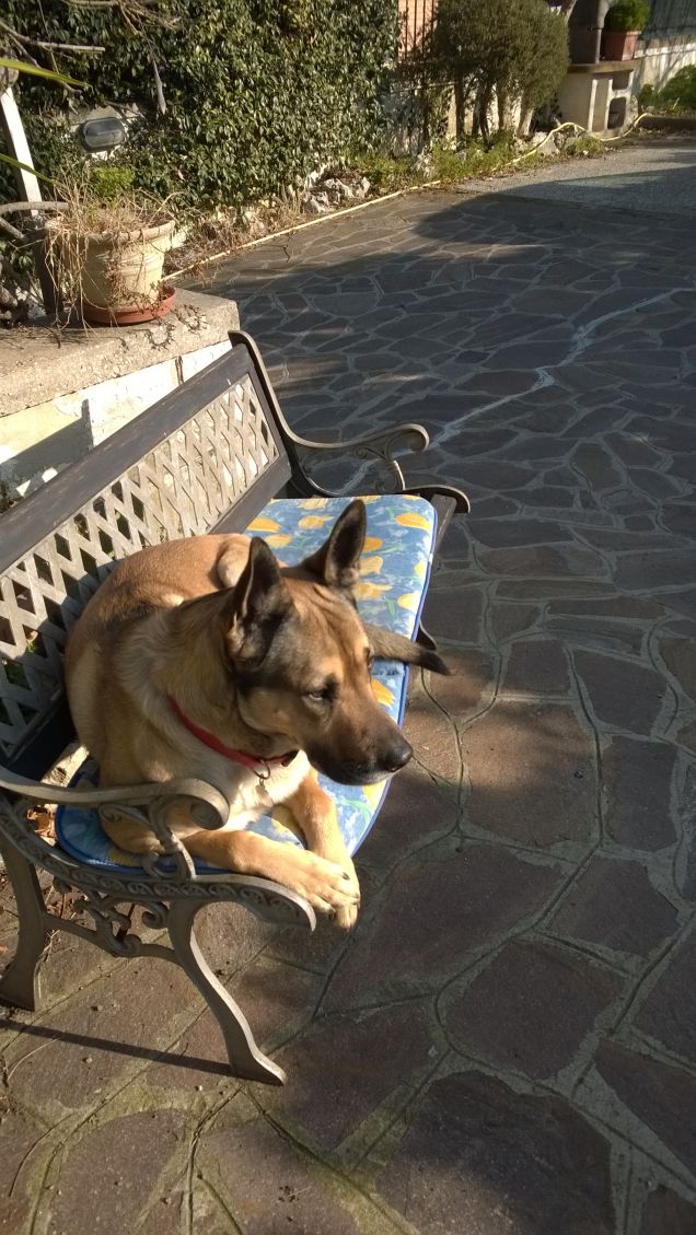 I giorni della Merla.4