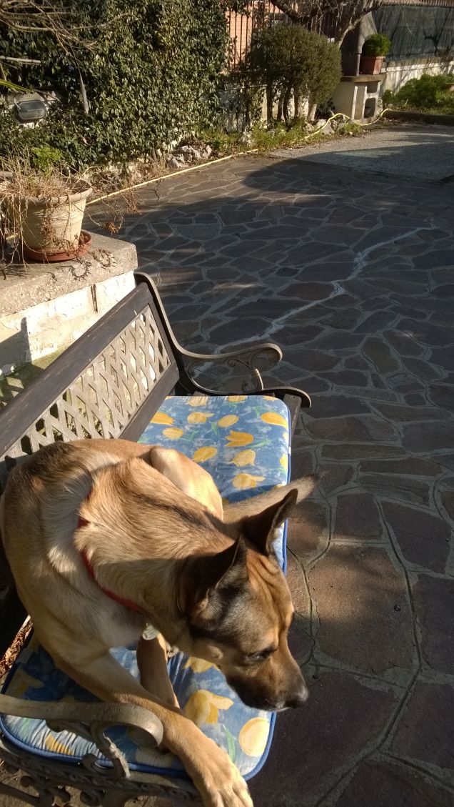 I giorni della Merla.5