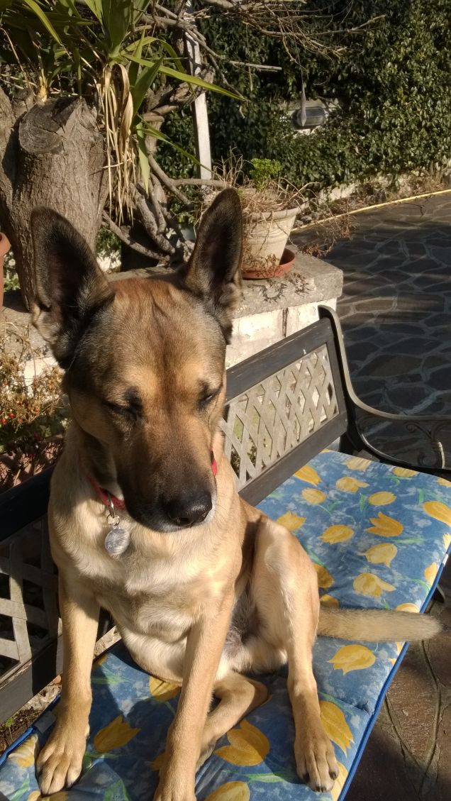 I giorni della Merla.6