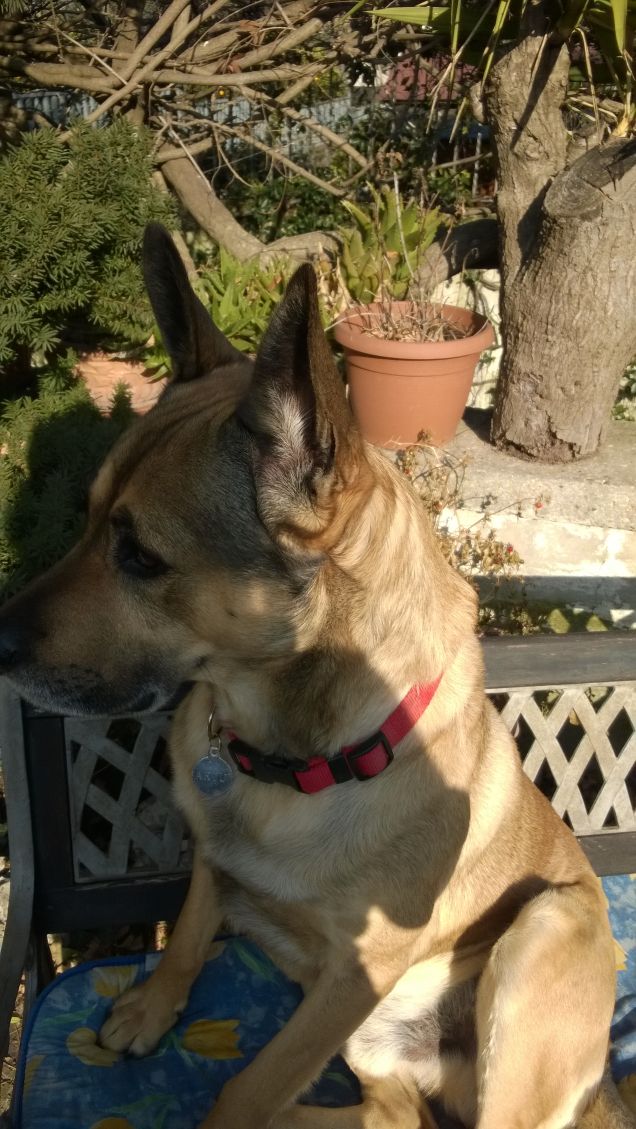 I giorni della Merla.7