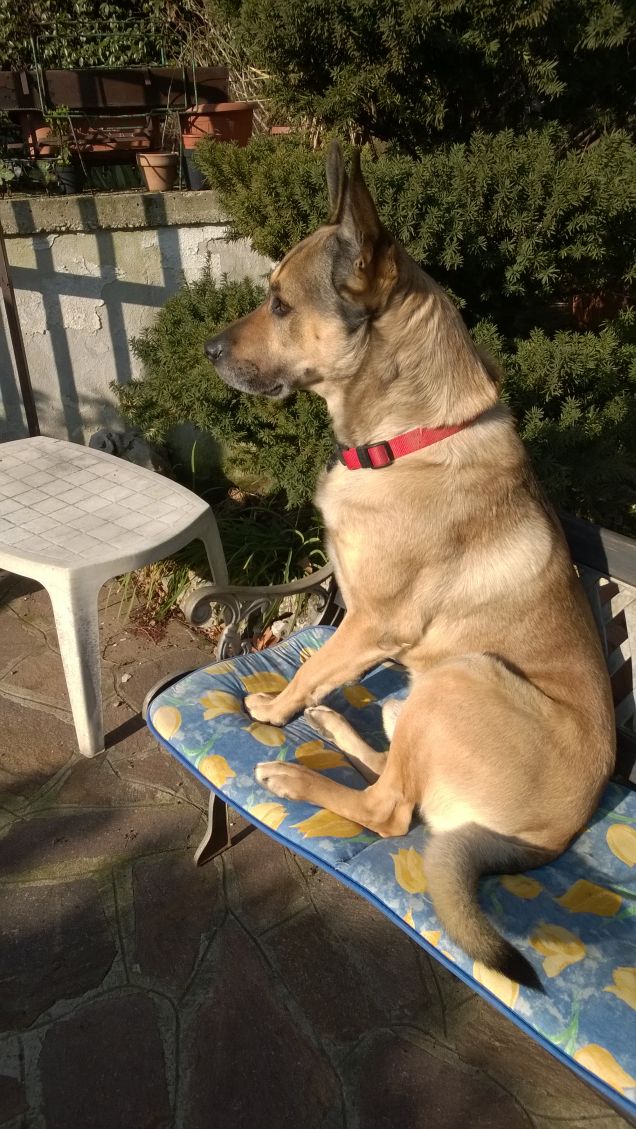 I giorni della Merla.9