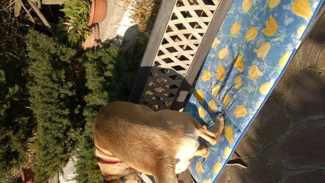 I giorni della Merla.10