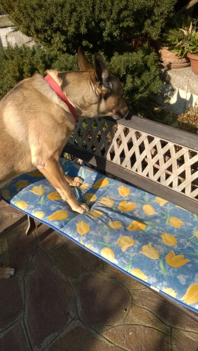 I giorni della Merla.11