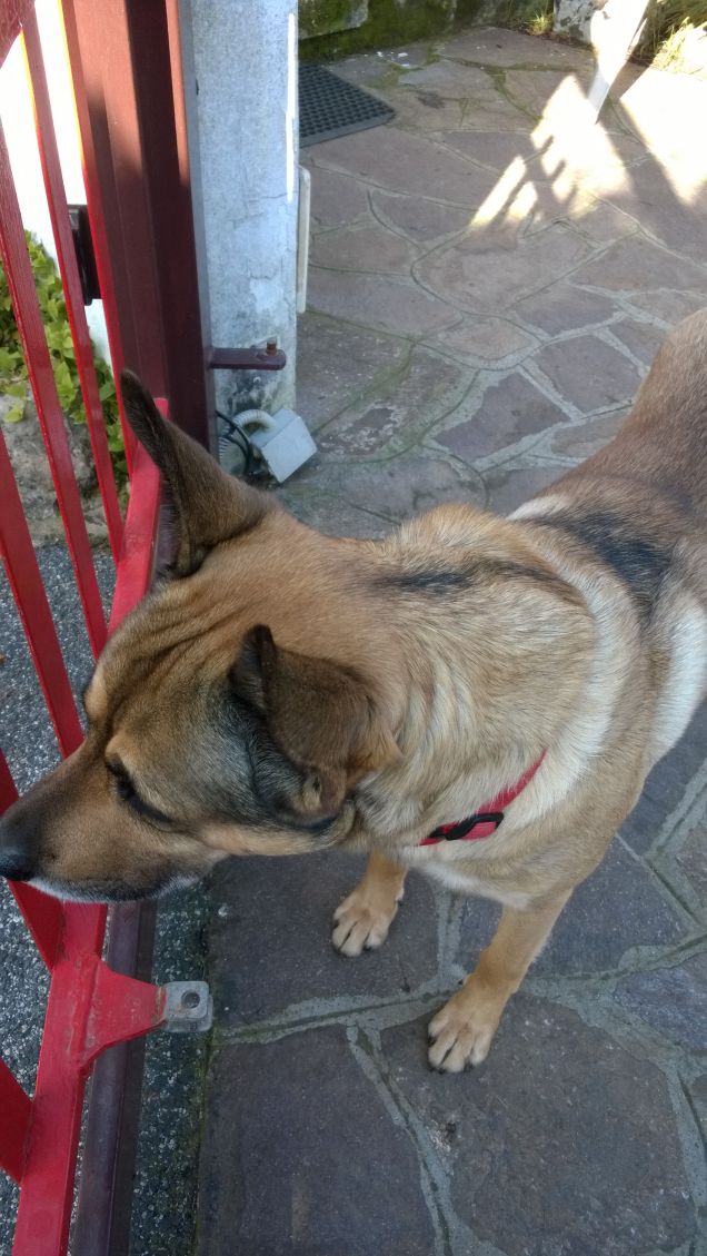 I giorni della Merla.12