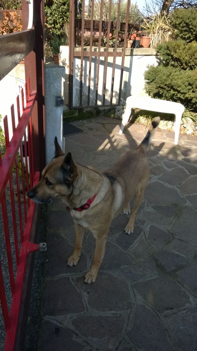 I giorni della Merla.13