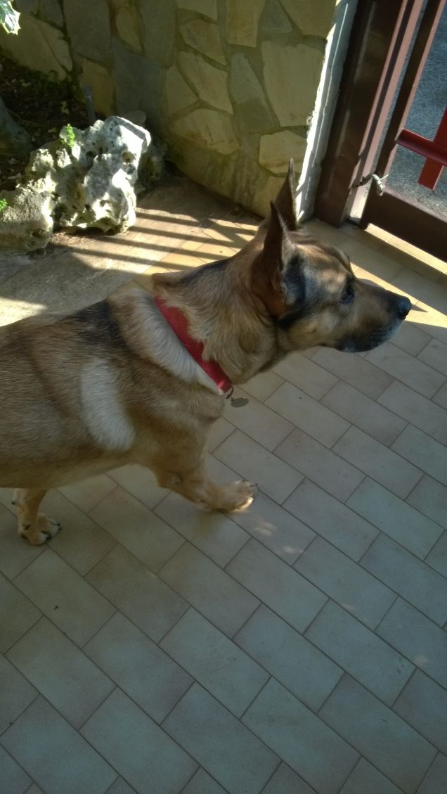 I giorni della Merla.14