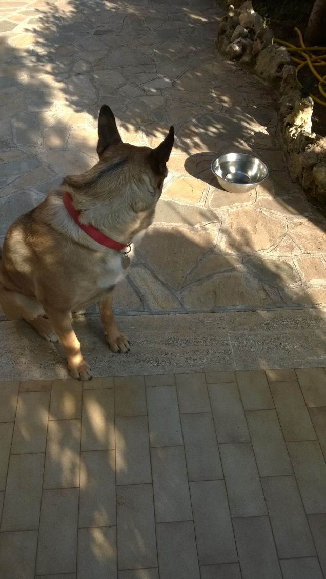 I giorni della Merla.15