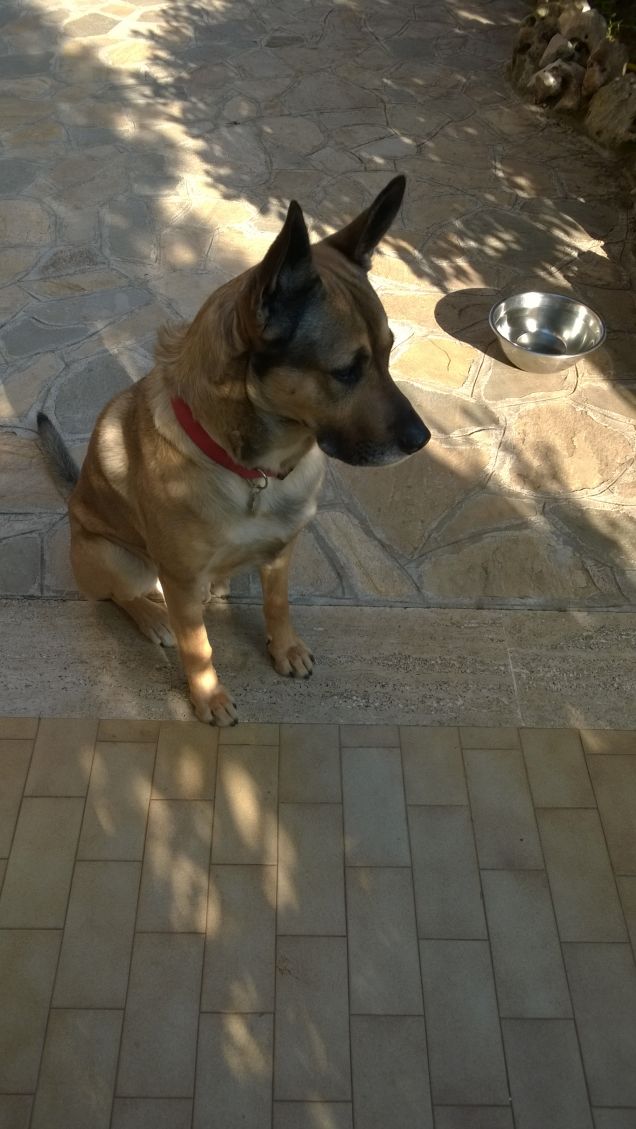 I giorni della Merla.16