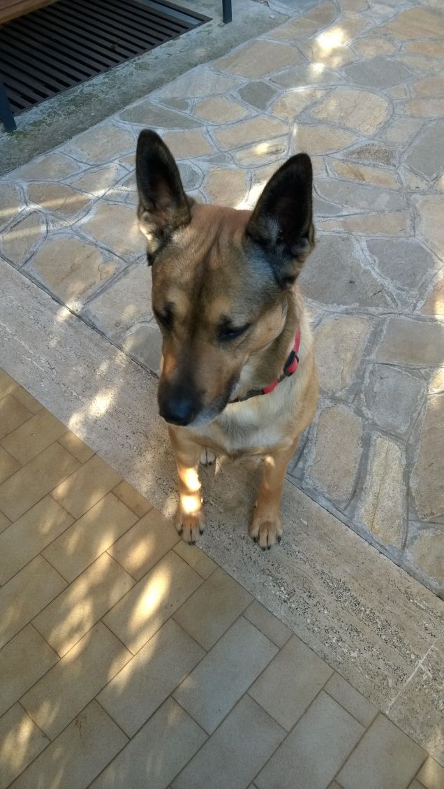 I giorni della Merla.18