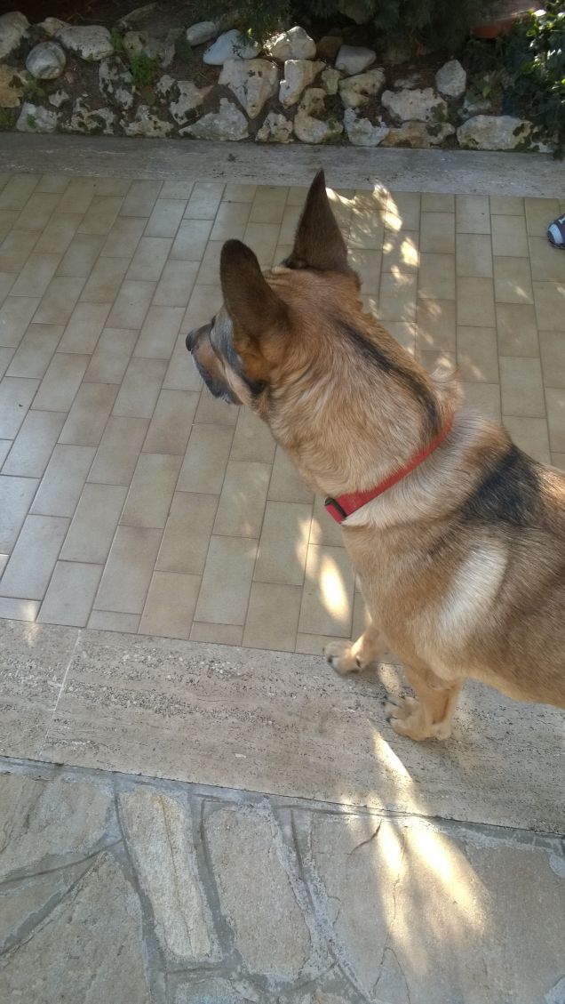 I giorni della Merla.19