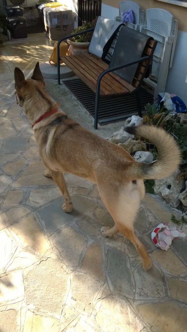 I giorni della Merla.20