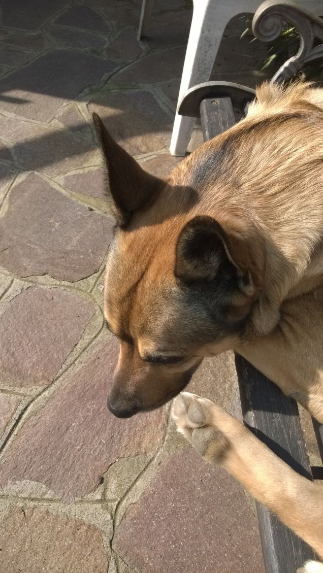 Ognuna diversa dall'altra.