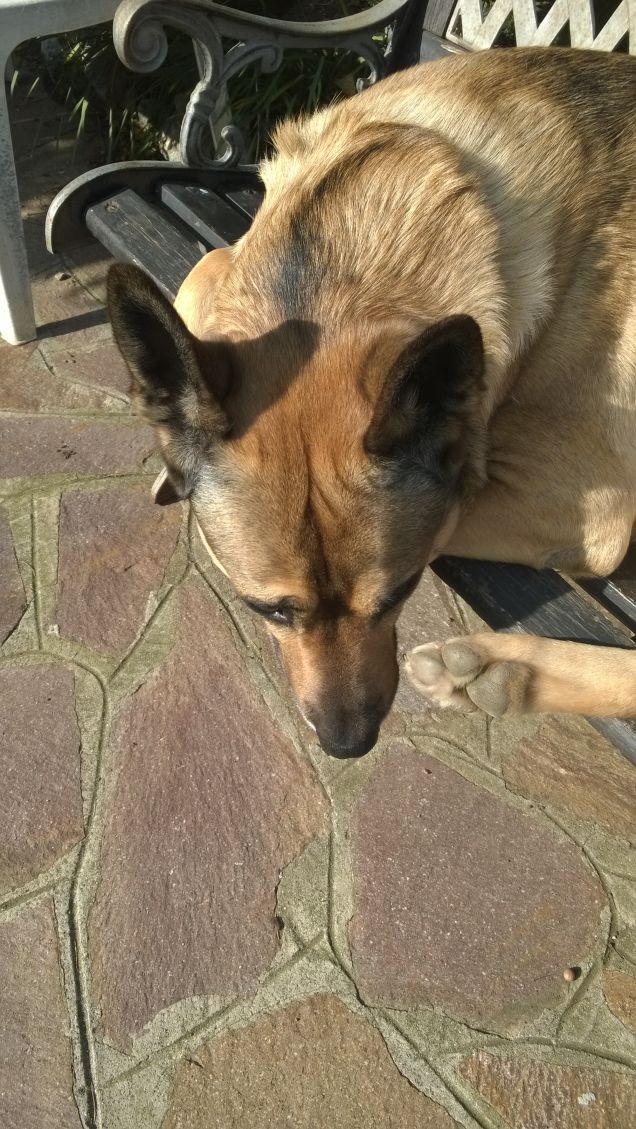 Ognuna diversa dall'altra.1