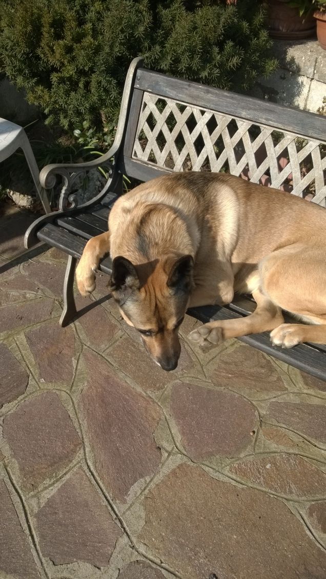 Ognuna diversa dall'altra.2