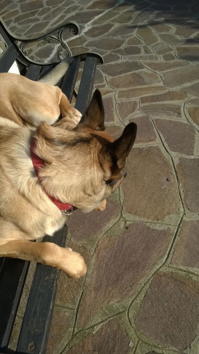 Ognuna diversa dall'altra.3