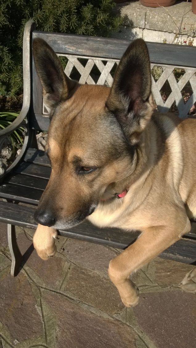 Ognuna diversa dall'altra.5