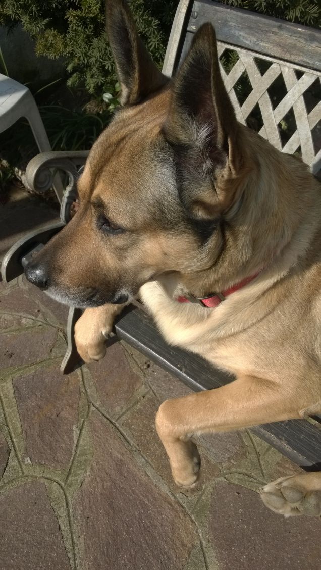 Ognuna diversa dall'altra.6