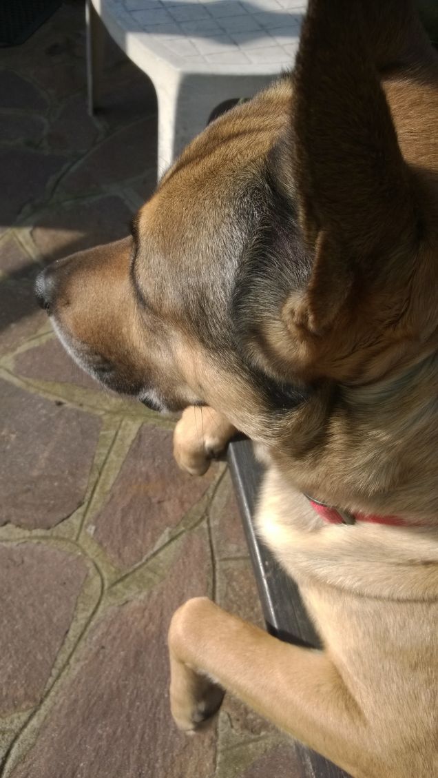 Ognuna diversa dall'altra.7