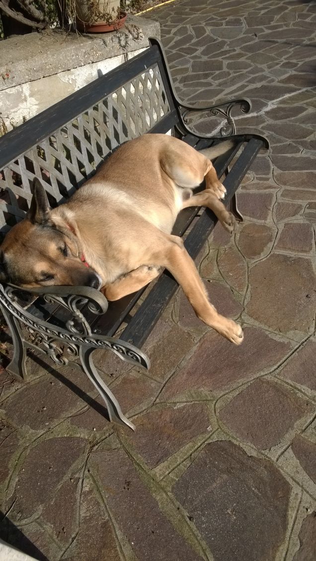 Ognuna diversa dall'altra.15