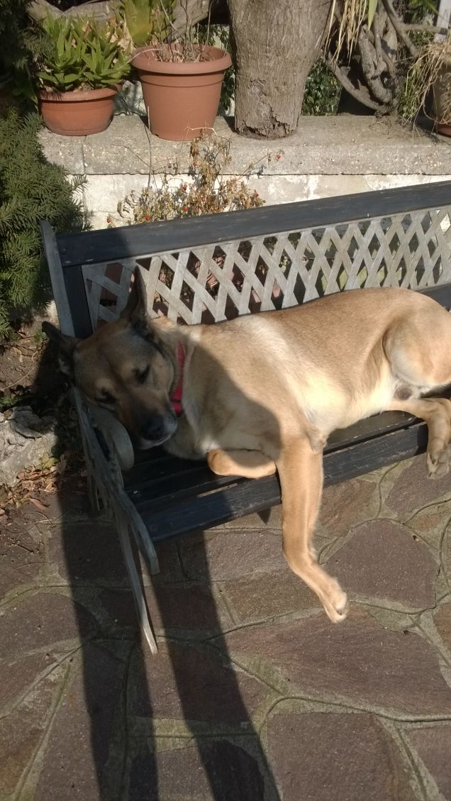 Ognuna diversa dall'altra.16