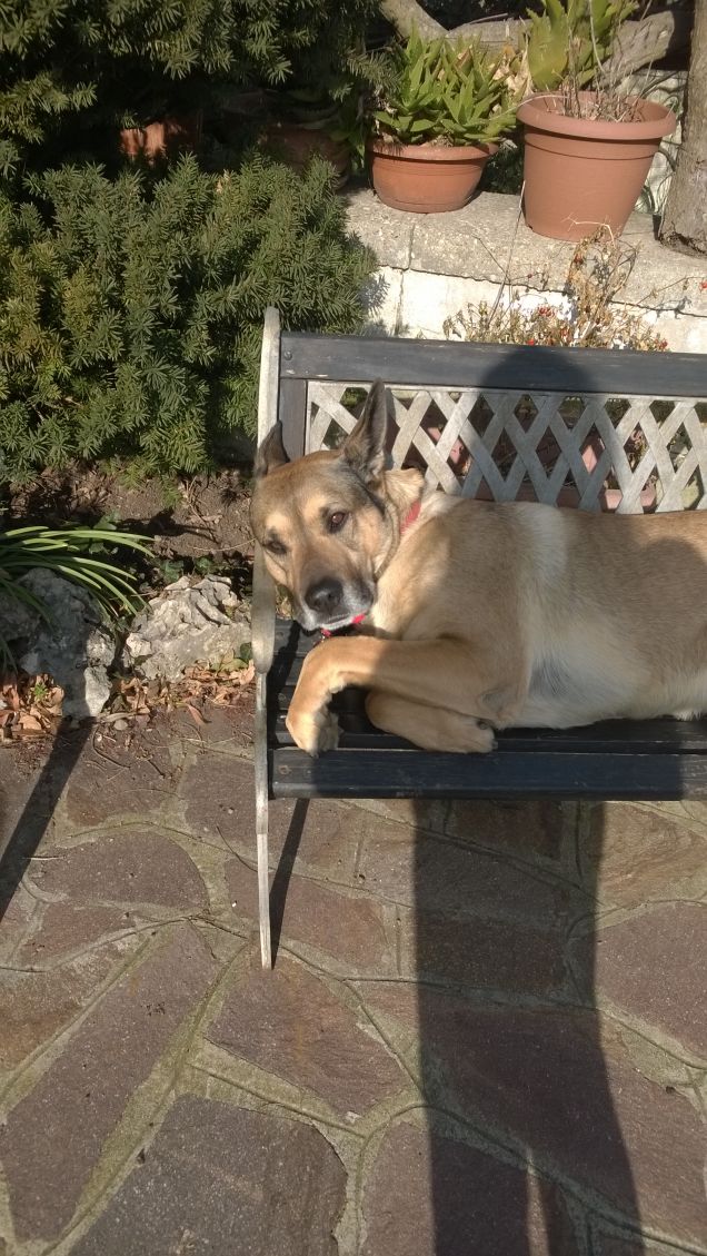 Ognuna diversa dall'altra.17