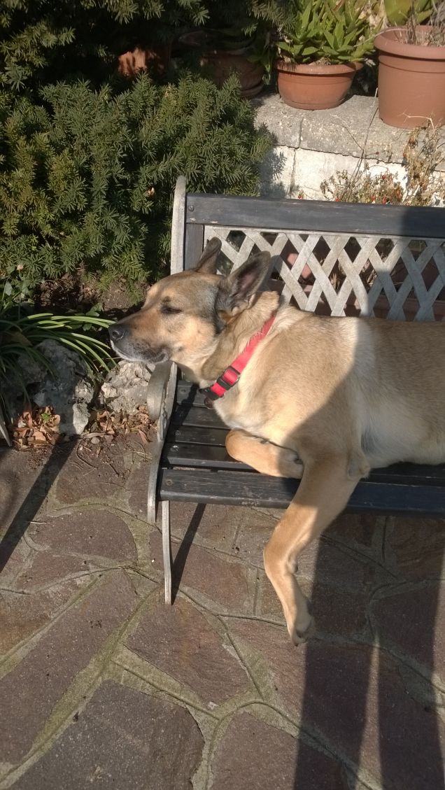 Ognuna diversa dall'altra.18