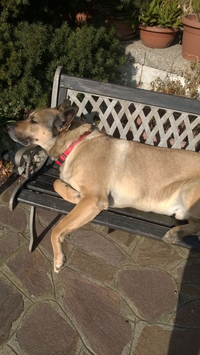 Ognuna diversa dall'altra.19