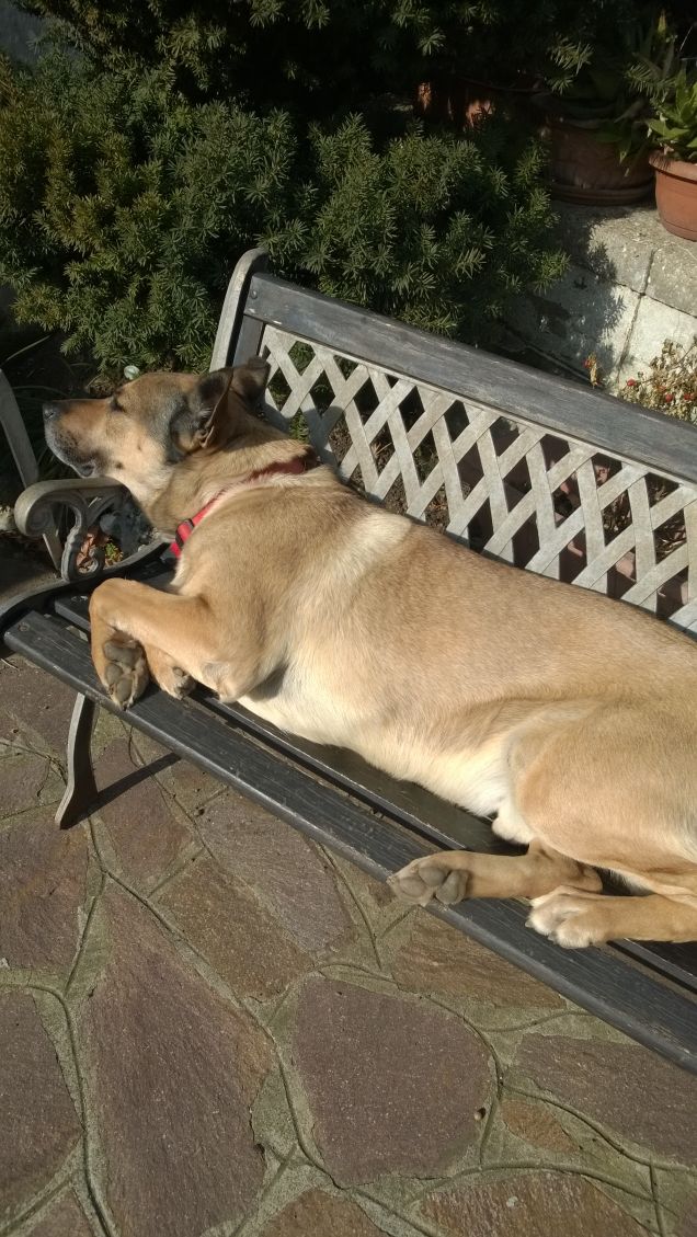 Ognuna diversa dall'altra.20