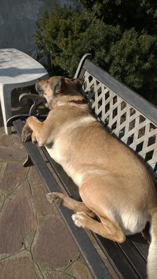 Domani è un'altro giorno e si vedrà.