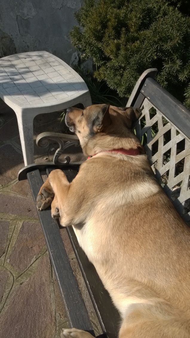 Domani è un'altro giorno e si vedrà.1