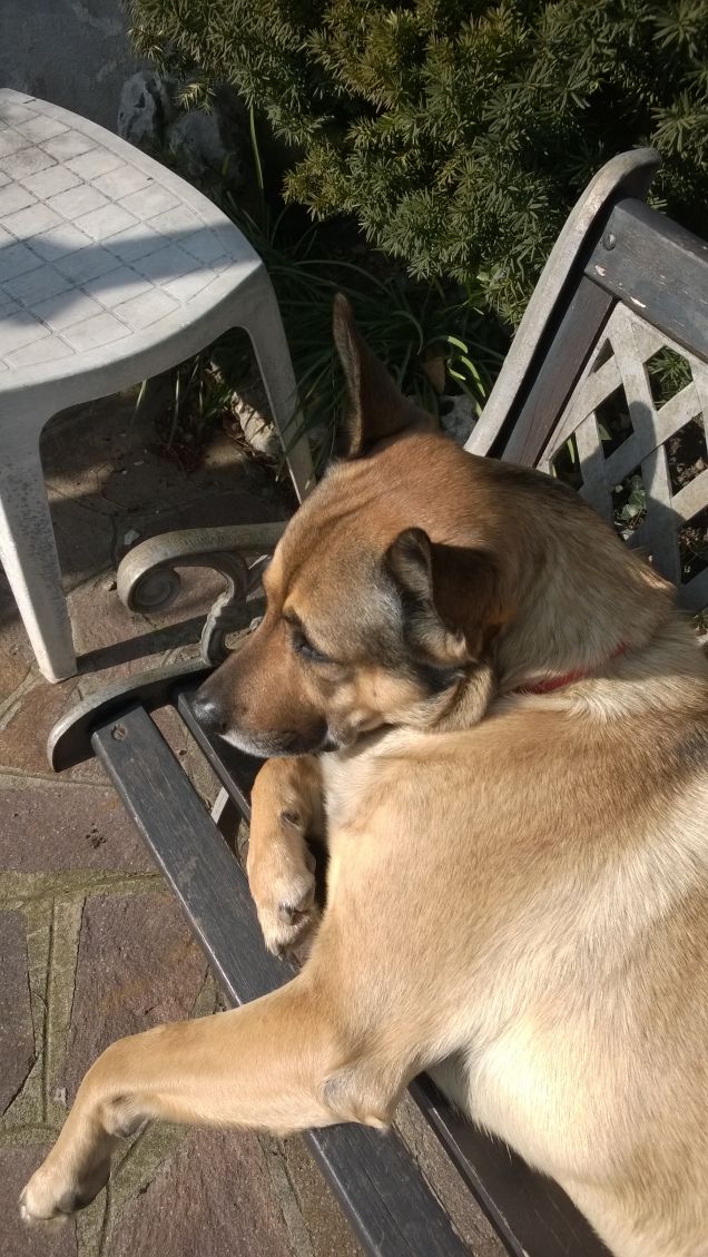 Domani è un'altro giorno e si vedrà.2