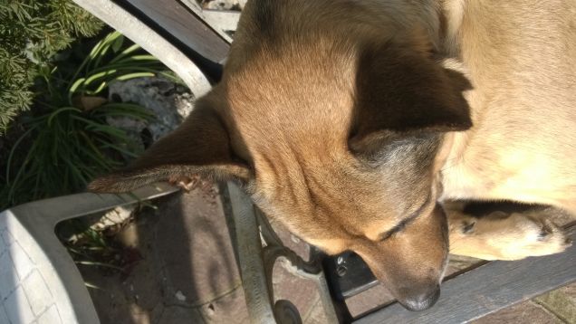 Domani è un'altro giorno e si vedrà.3