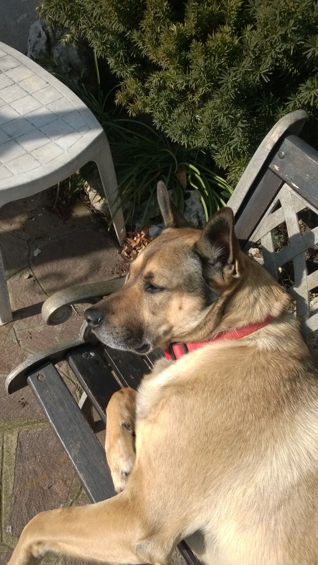 Domani è un'altro giorno e si vedrà.4