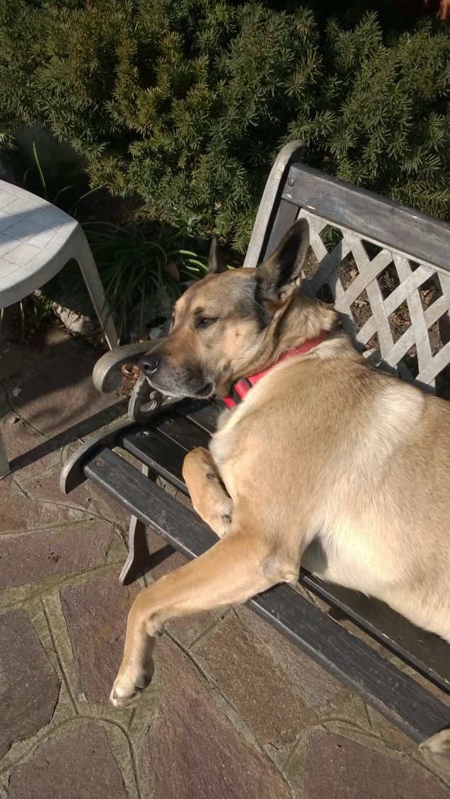 Domani è un'altro giorno e si vedrà.5