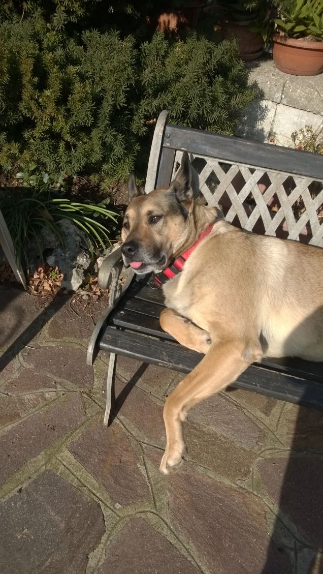 Domani è un'altro giorno e si vedrà.6