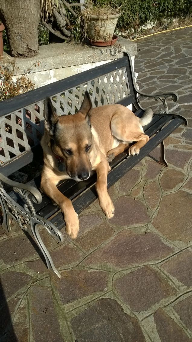 Domani è un'altro giorno e si vedrà.8