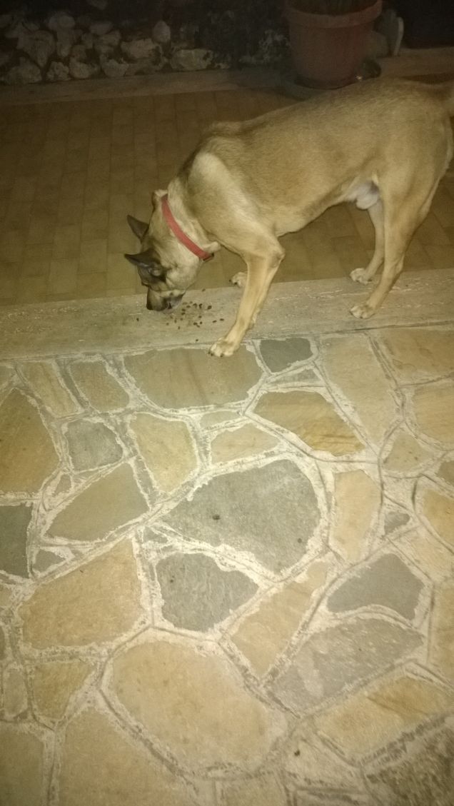 Domani è un'altro giorno e si vedrà.19