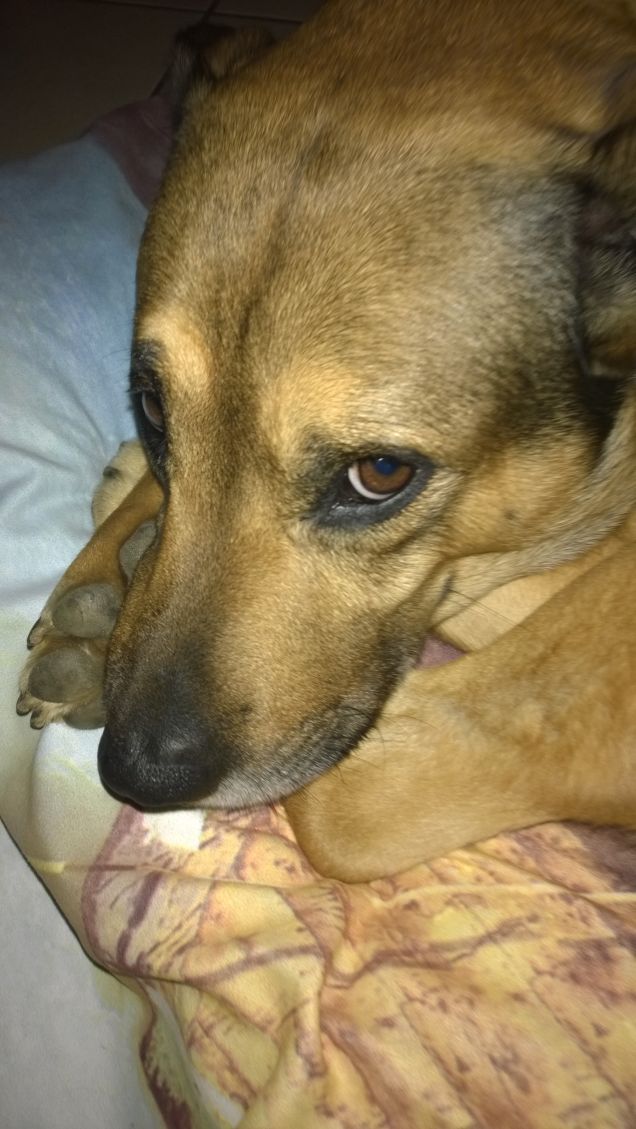 Continiuamo a dormirci su.