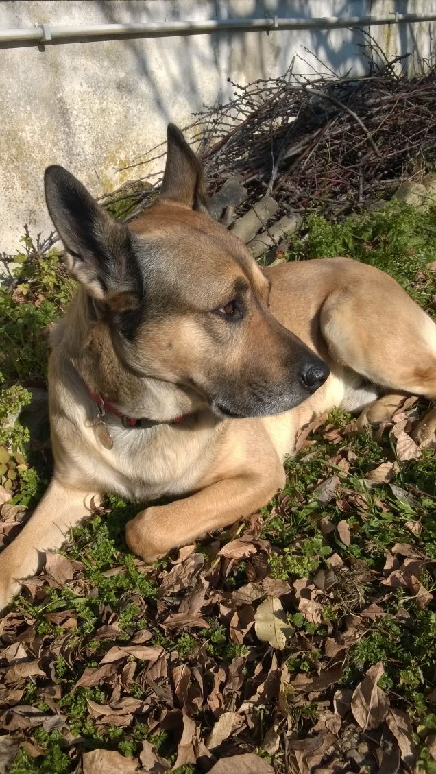 Le comodità della vita.1