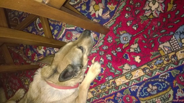 Le comodità della vita.2