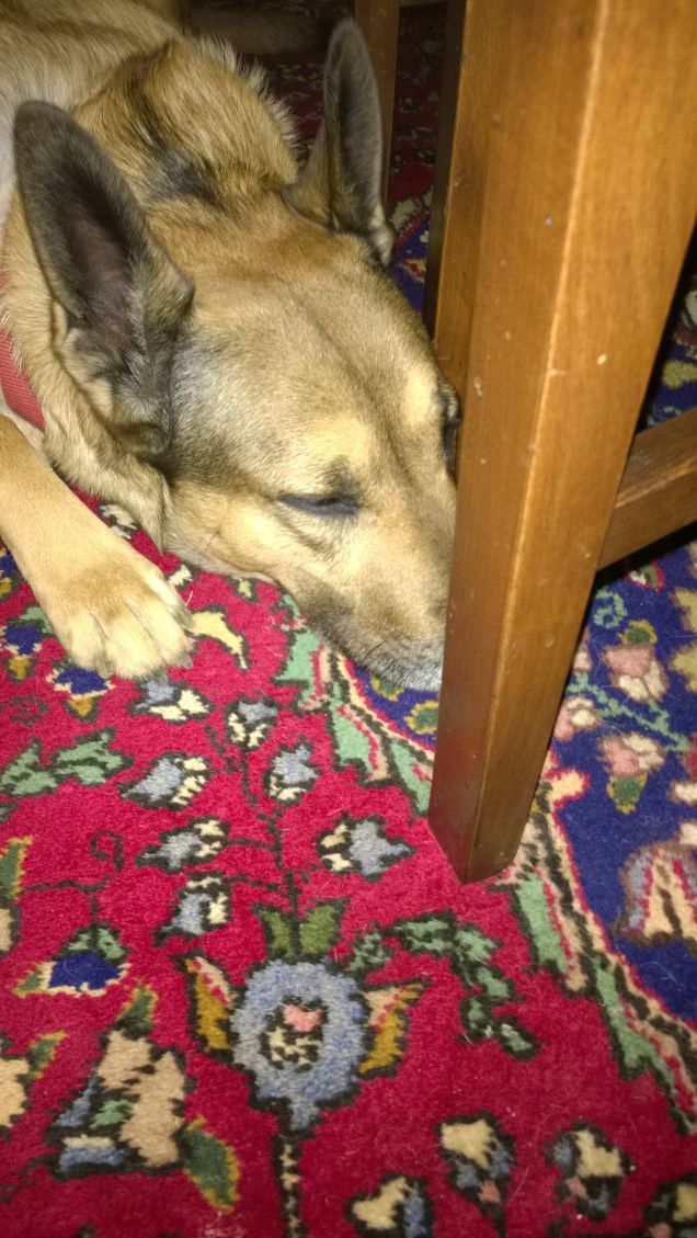 Le comodità della vita.3