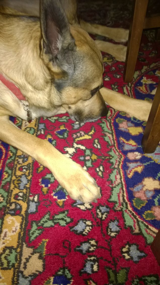 Le comodità della vita.7